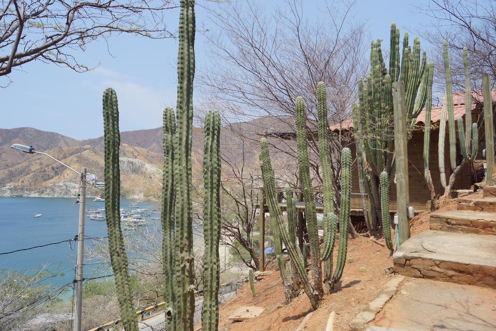 Hotel Cactus Taganga Εξωτερικό φωτογραφία
