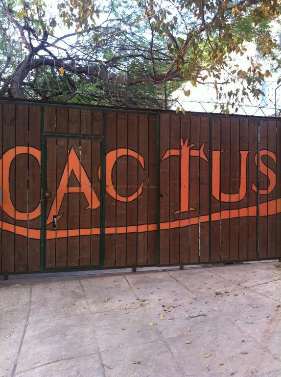 Hotel Cactus Taganga Δωμάτιο φωτογραφία