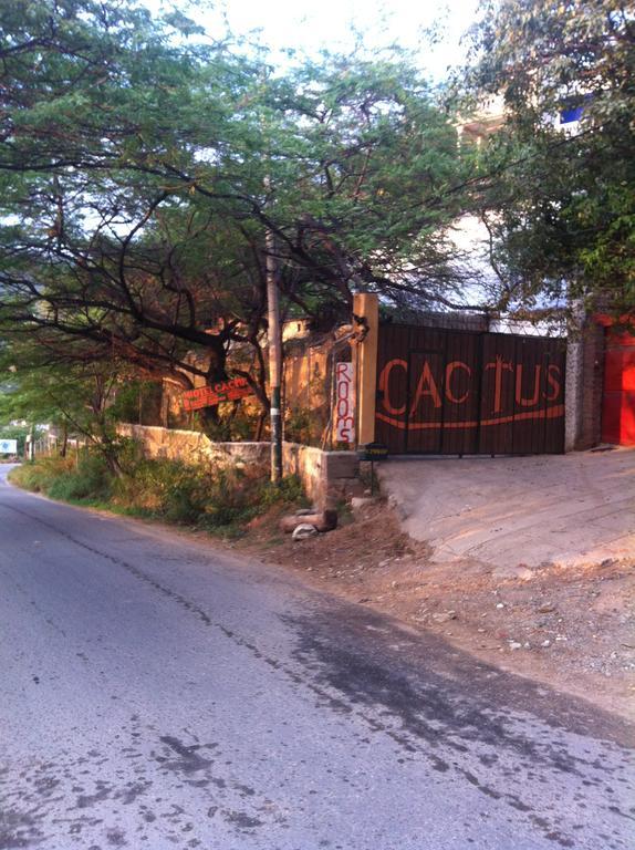 Hotel Cactus Taganga Δωμάτιο φωτογραφία